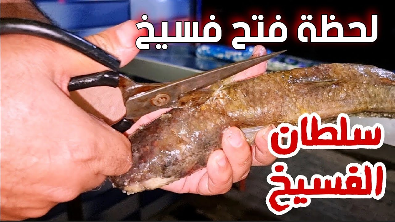 أحسن فسيخ في مصر ⁦⁦⁦مش عند فسخاني