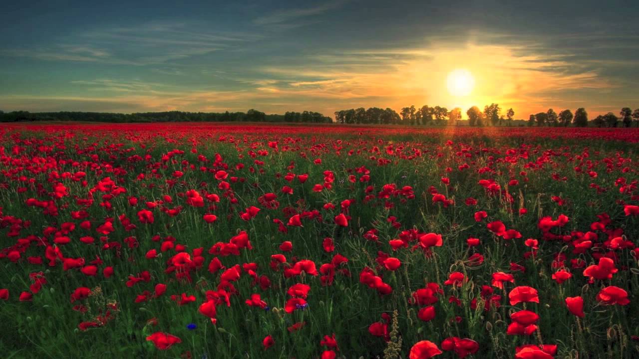Beautiful piano music - It's A Beautiful Day - 정말 멋진 날입니다 - Ariya
