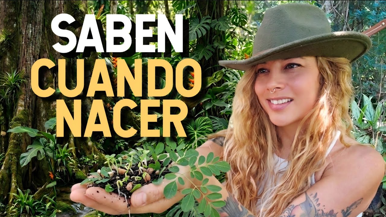 Semillas inteligentes: estrategias secretas | Smart Seeds: Nature’s Hidden Strategies