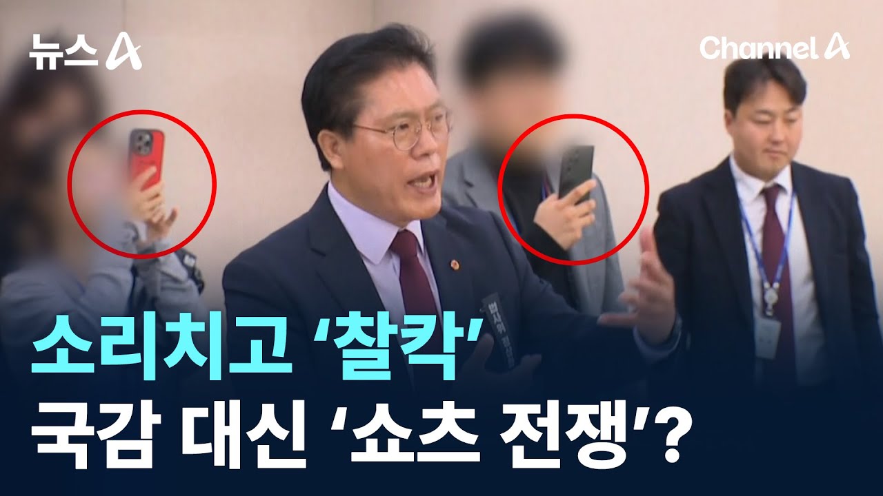 소리치고 &lsquo;찰칵&rsquo;&hellip;국감 대신 &lsquo;쇼츠 전쟁&rsquo;? / 채널A / 뉴스A