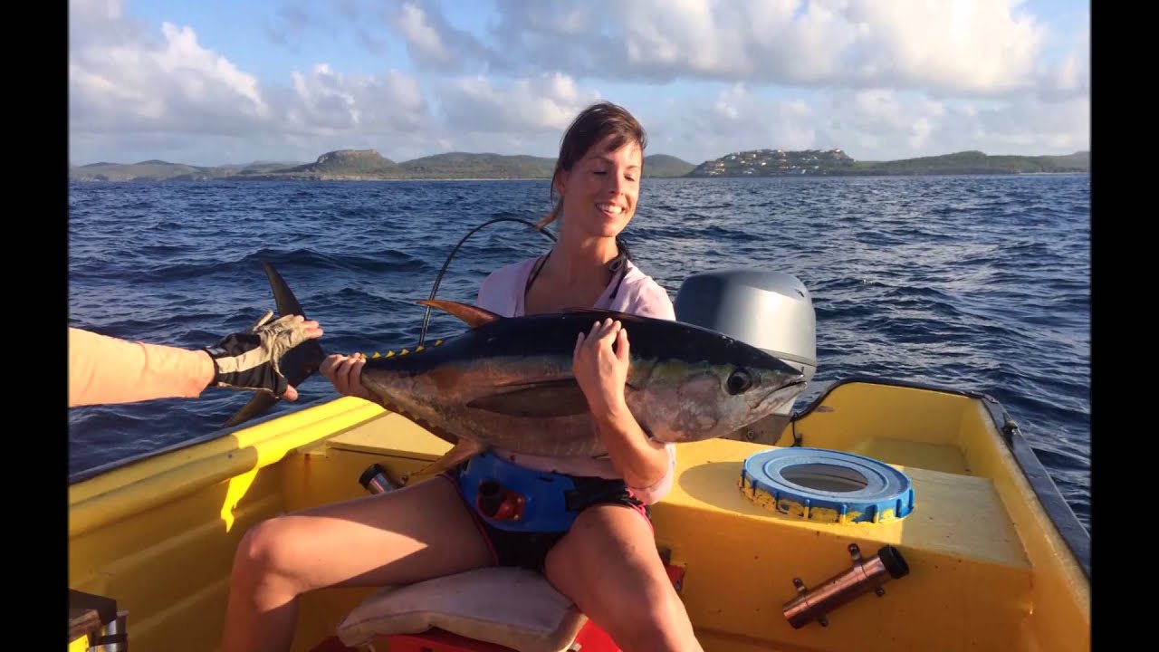 Whales and tuna on curacao