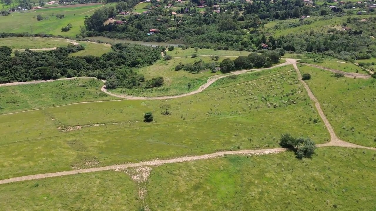 HARAS CATENA - FILME 08