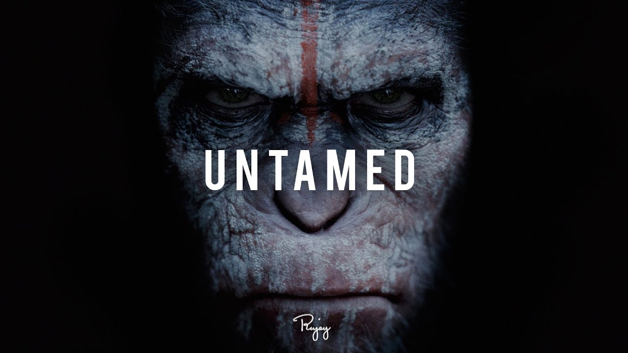 "Untamed" - Aggressive Rap Beat | Free Trap Hip Hop Instrumental Music 2018 | Flow 