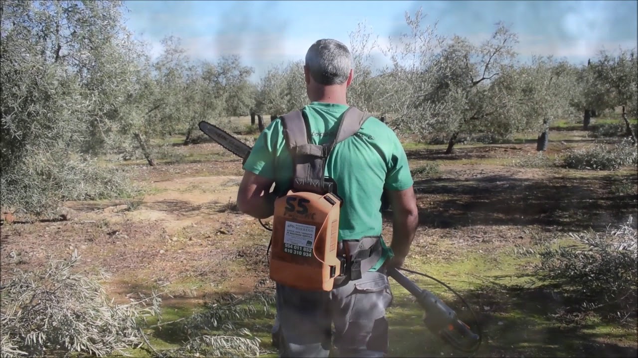 MANTENIMIENTO PELLENC SELION TELESCOPICA