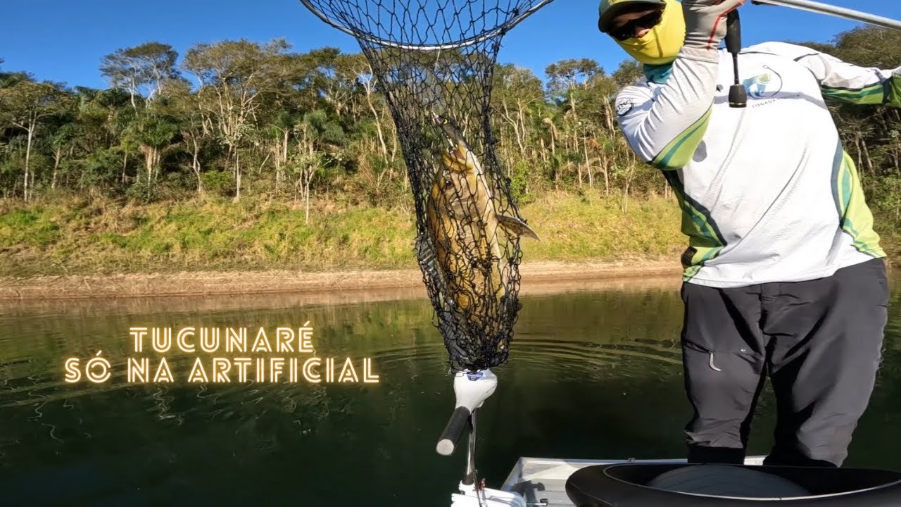 Pescaria de tucunaré amarelo - Artificial x Isca viva (cuidado com a neblina!)
