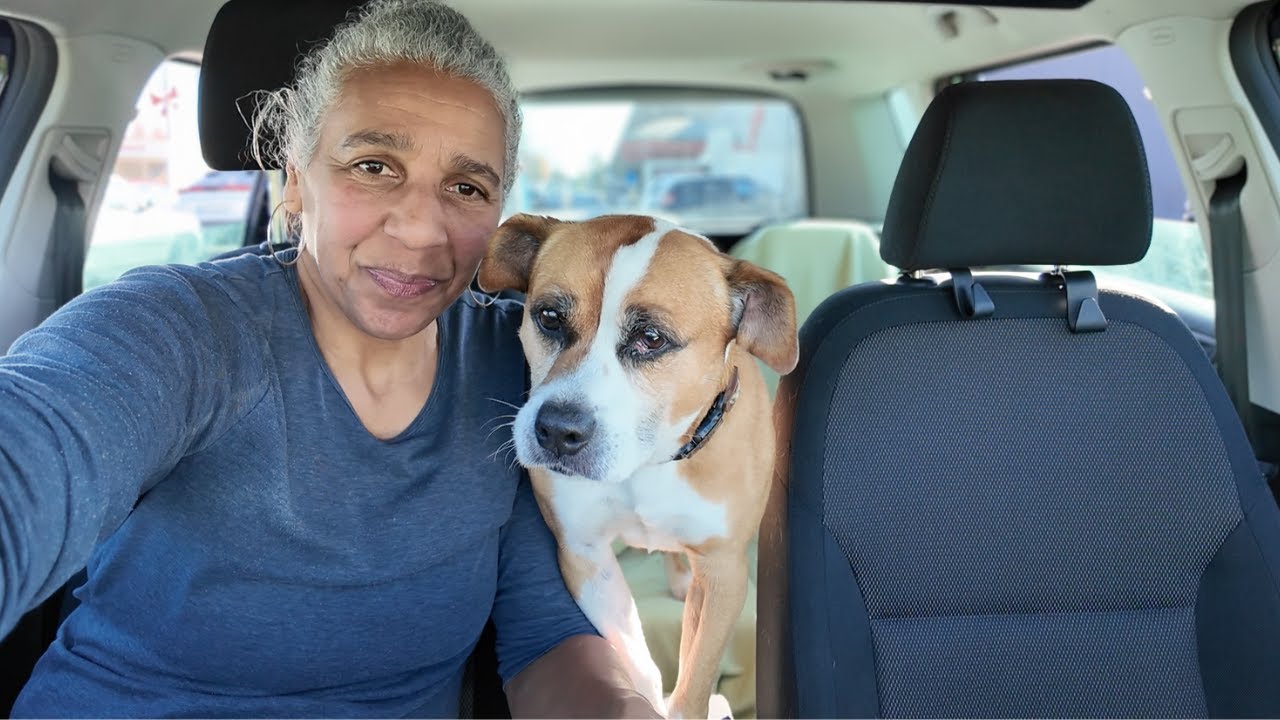 Hitting 10k Subs and What My Rescue Dog Has Taught Me