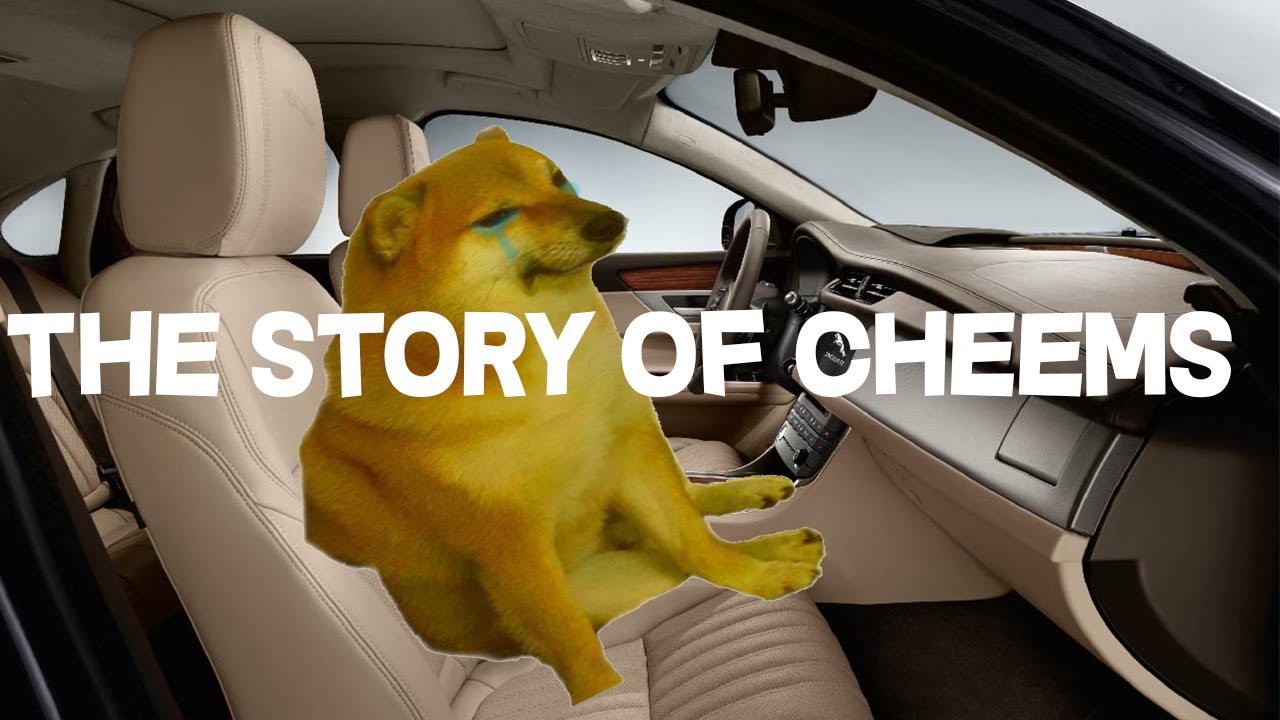 The Story Of Cheems