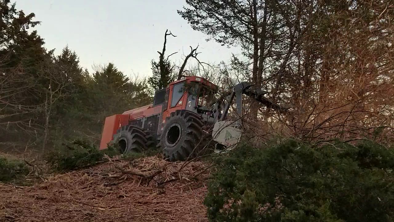 Barko 937B cutting cedars