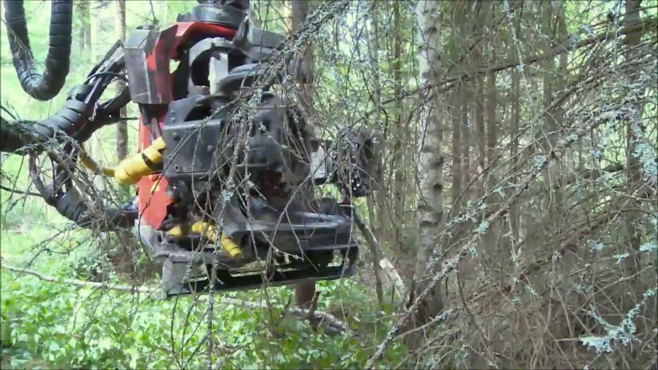 MenSe RT7 ennakkoraivaus ja hakkuu samanaikaisesti - integrated pre-clearing and harvesting