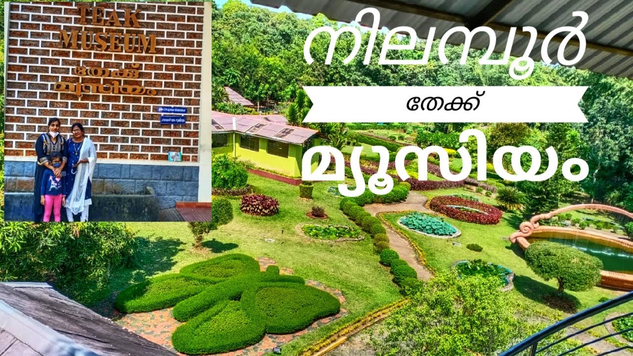 Nilambur Teak Museum|Teak Museum After lock down|മലപ്പുറത്തിന്റെ സ്വന്തം തേക്ക്‌ മ്യൂസിയം
