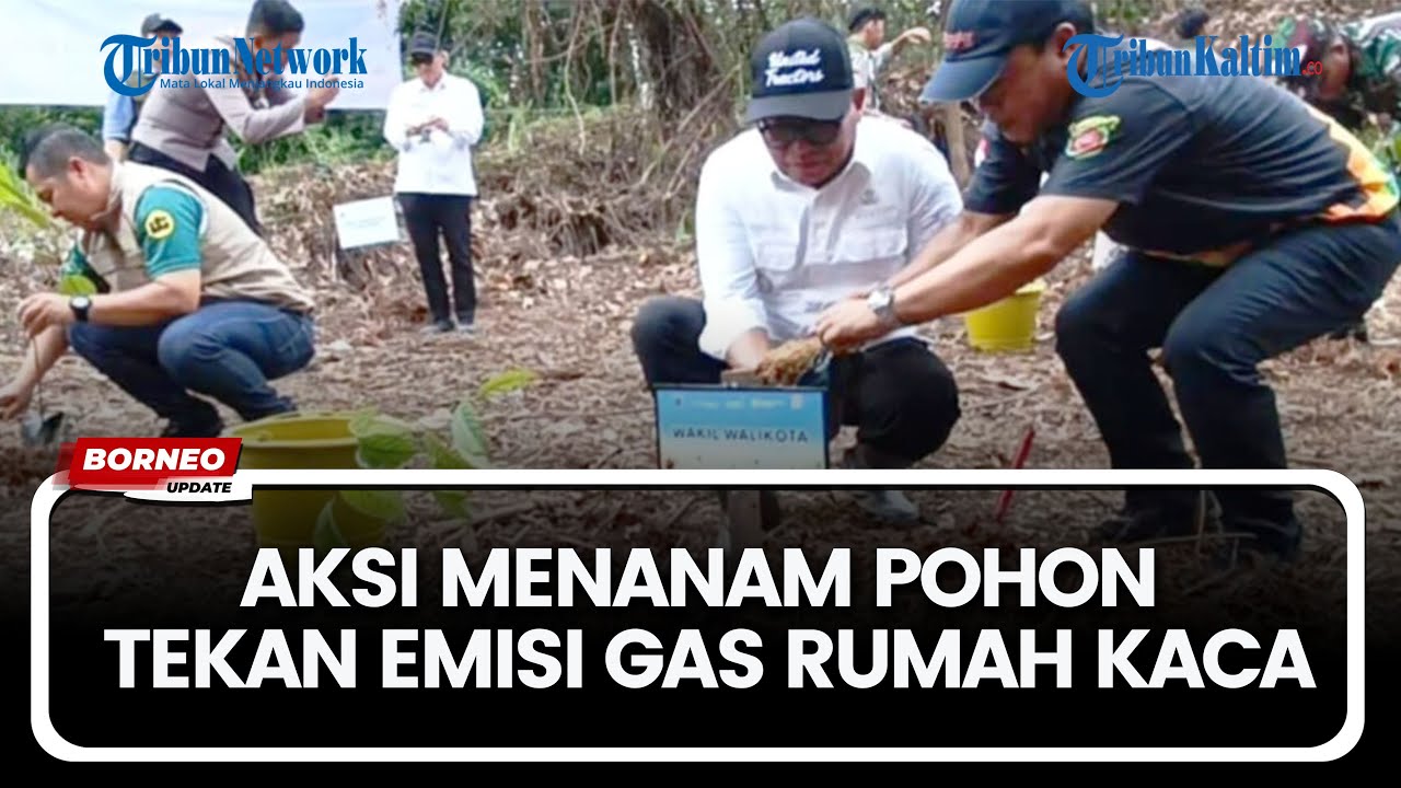 Samarinda Tanam 500 Pohon di Taman Kehati Makroman, Tekan Gas Rumah Kaca
