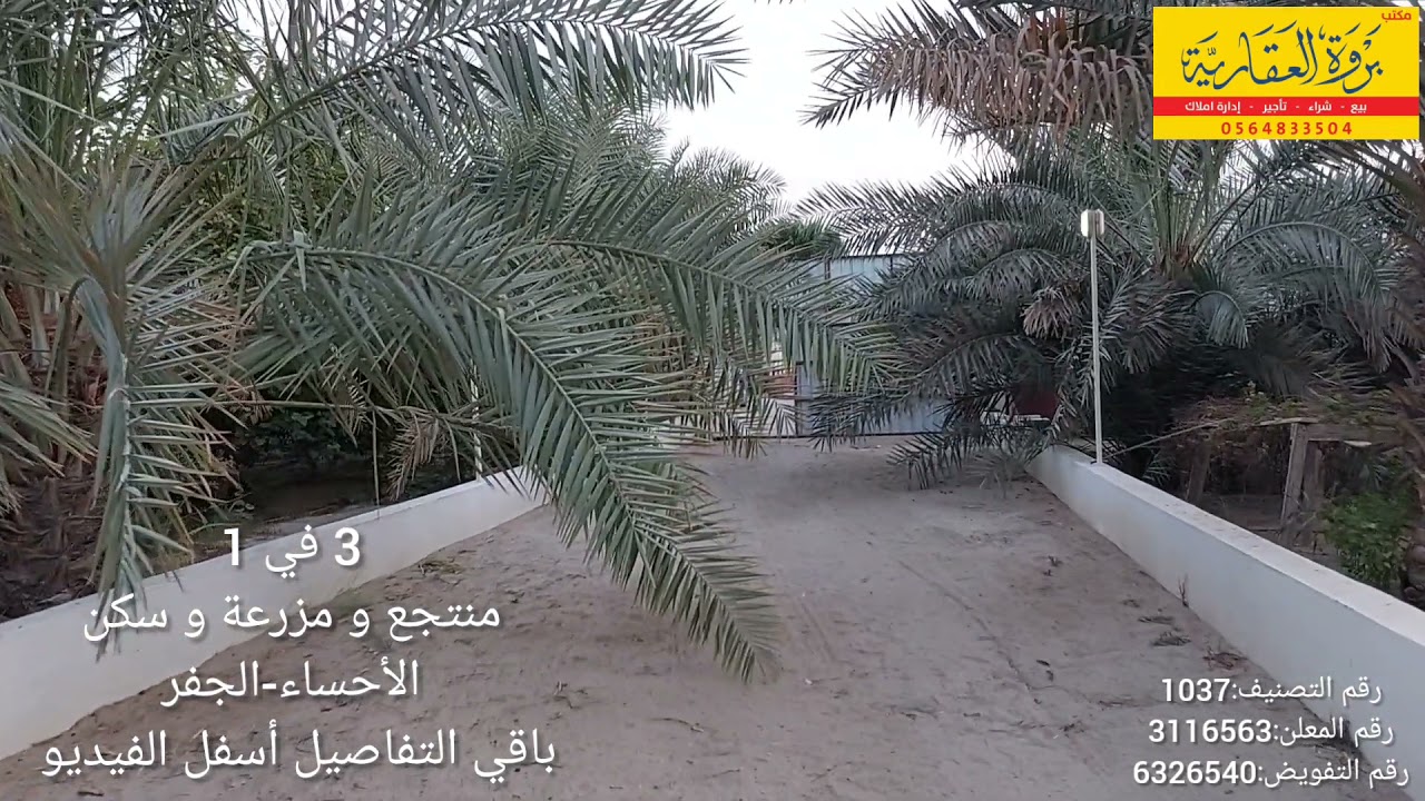 منتجع و مزرعة و سكن للبيع-الاحساء-الجفر
