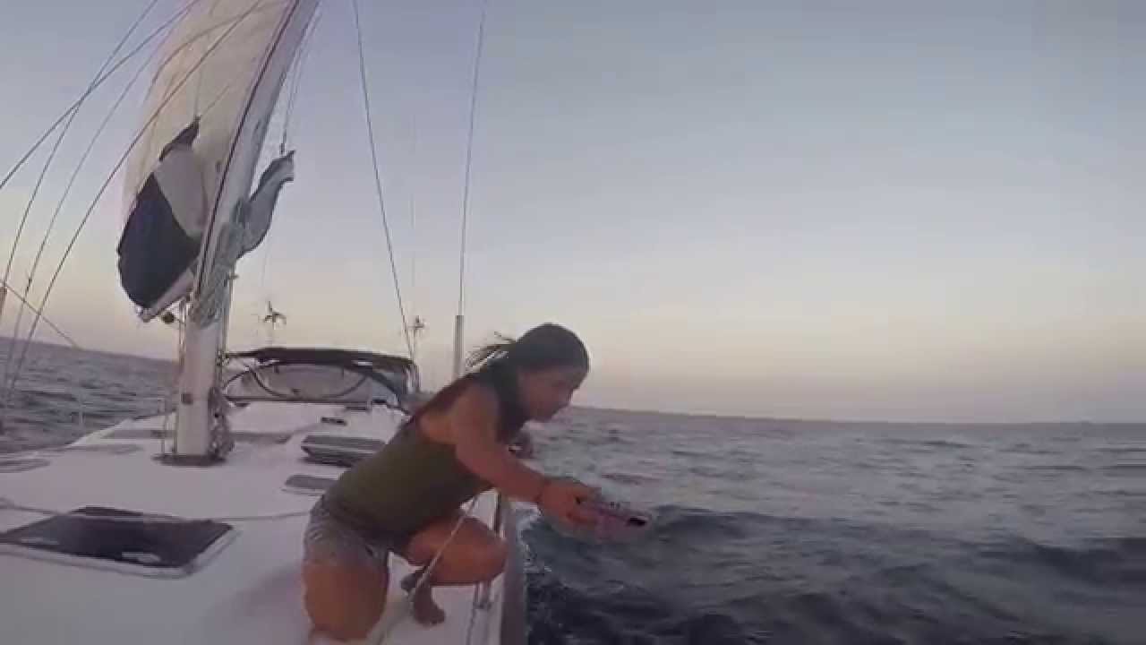 Veleiro Bacana - Ilhas Virgens - Venezuela