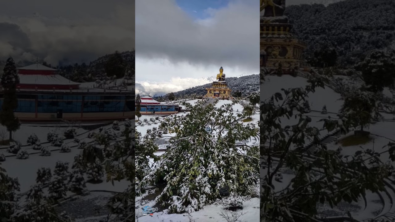 snow in ravangla buddha park #ravanglabuddhapark #Ravangla #southsikkim #snow #snowinsikkim