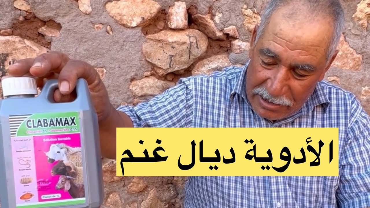 الوقاية خير من العلاج أدوية الغنم ضرورية