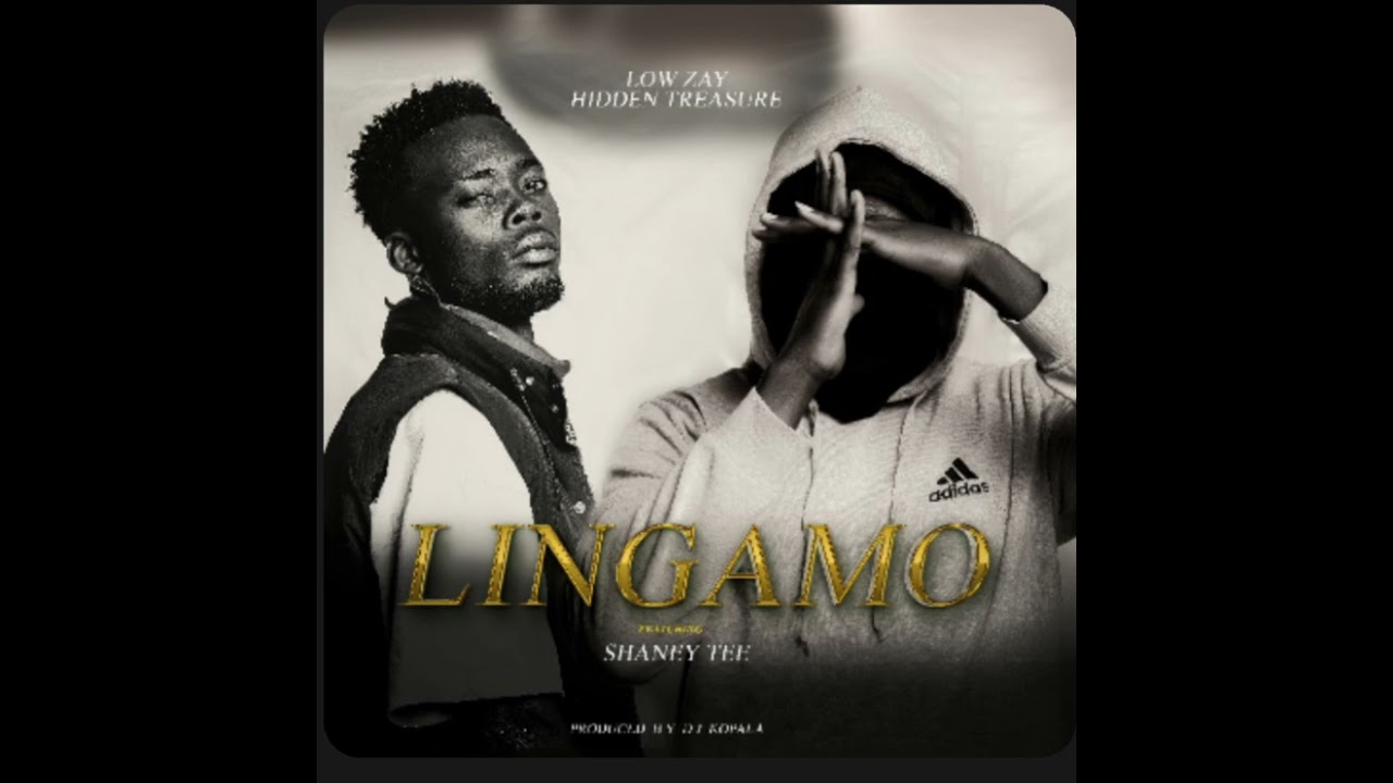 Low zay ft shaney tee.LINGAMO