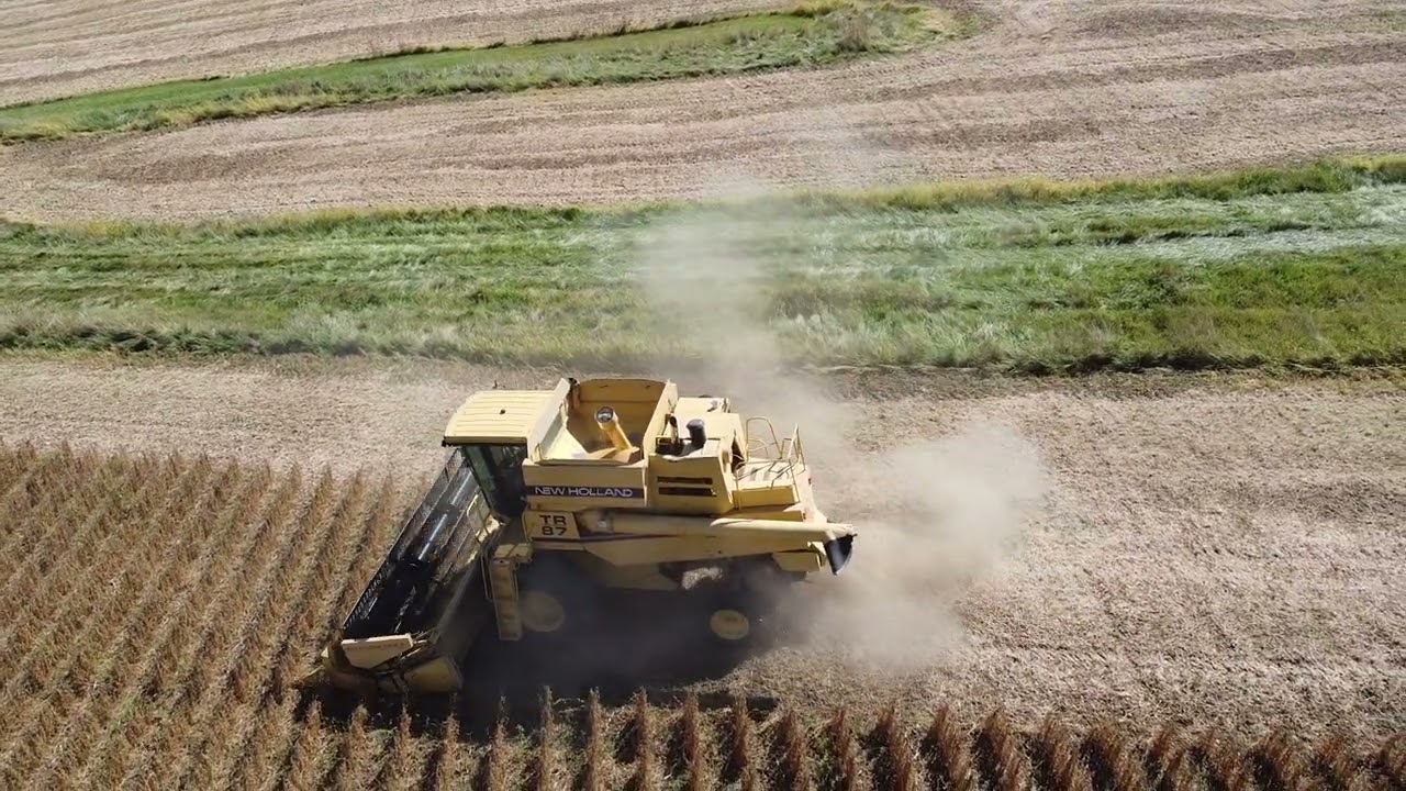 New Holland TR87 Combine start of soybean harvest 9-21-24