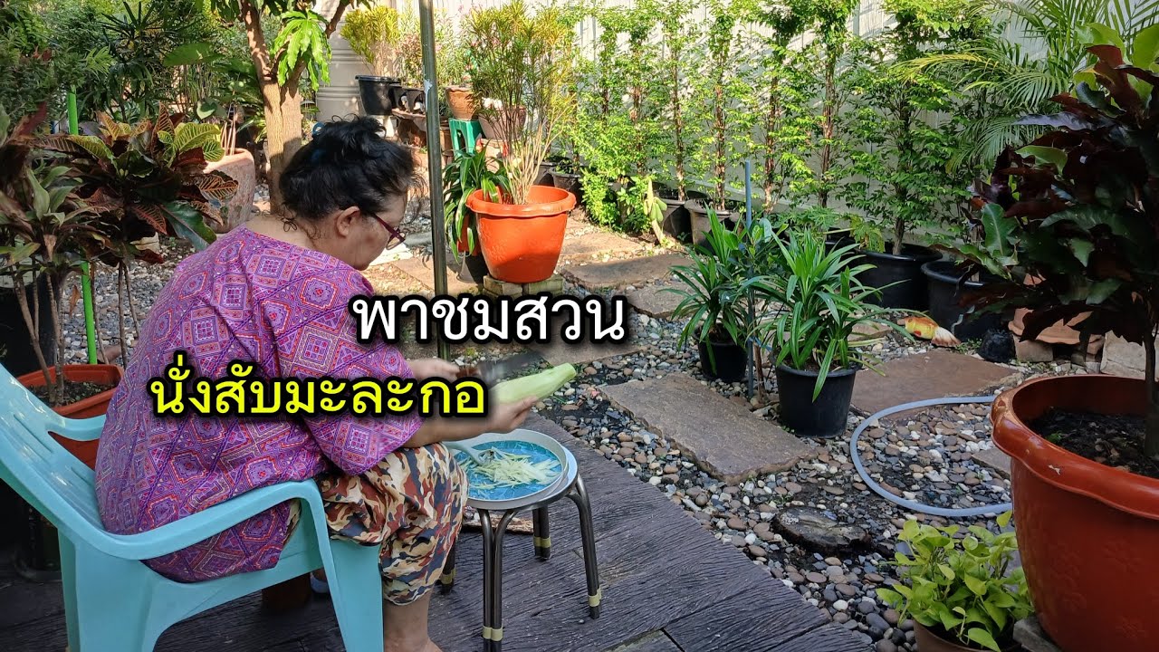 พาชมสวนยามเช้า 🪴☀️