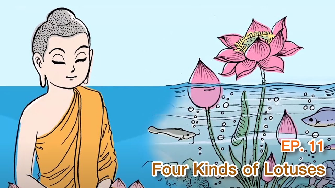 The Life of the Buddha|Ep11 | Four Kinds of Lotuses
