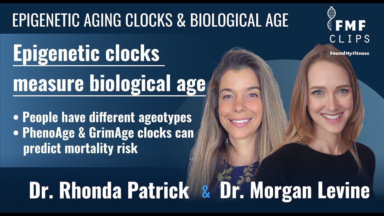 Pomiar wieku biologicznego za pomocą epigenetycznych zegar&oacute;w starzenia | Dr Morgan Levine