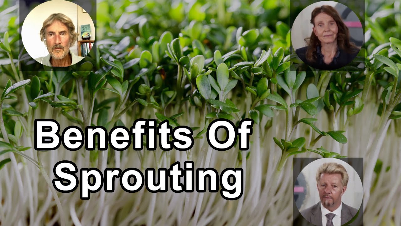 Understanding The Benefits Of Sprouting -  Anna Maria Clement, Brian Clement, Will Tuttle