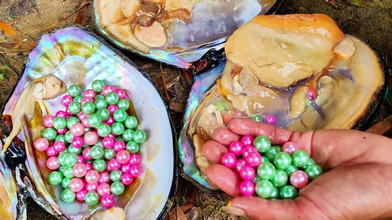 🔥🔥Oh no🔥🔥 Pearl King 👑， The girl took the golden pearl from the belly of the mutated golden