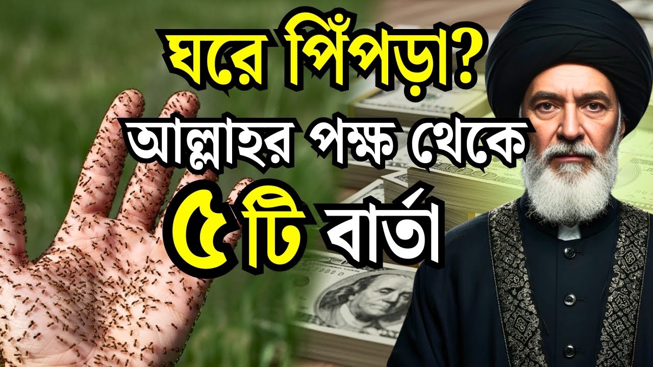 আপনার বাসায় পিপঁড়ে দেখা দিলে আল্লাহর পক্ষ থেকে ৫টি শক্তিশালী ইশারা
