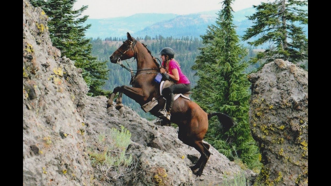 Sanoma and Goober: Oregon teen & the horse she found for free on Craigslist win the Tevis Cup