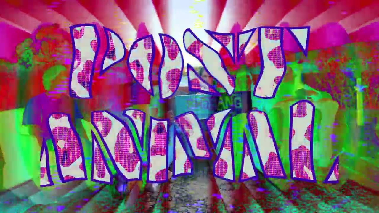 Post Animal (Exclusive Interview Live @ Shabang)