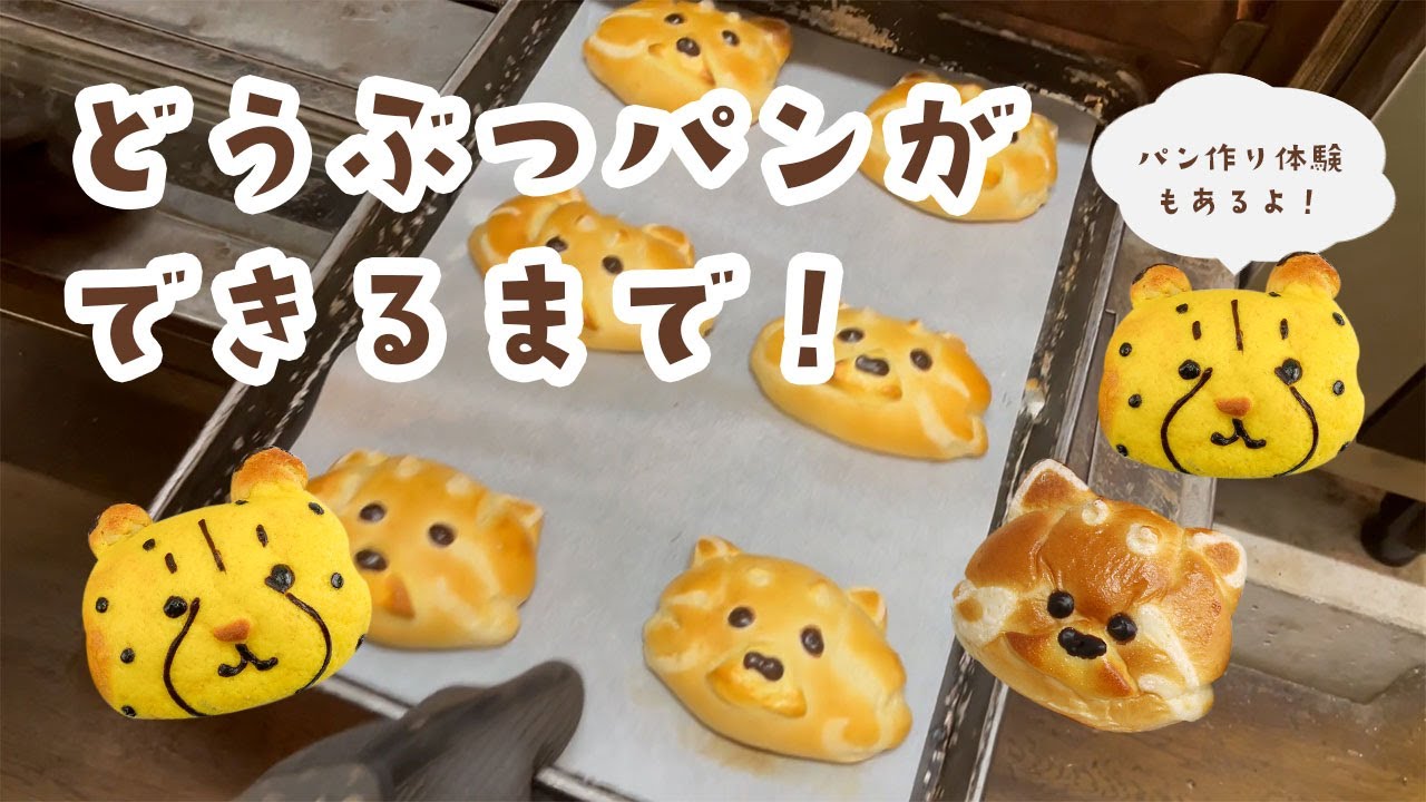 パン作り体験＆どうぶつパン！！