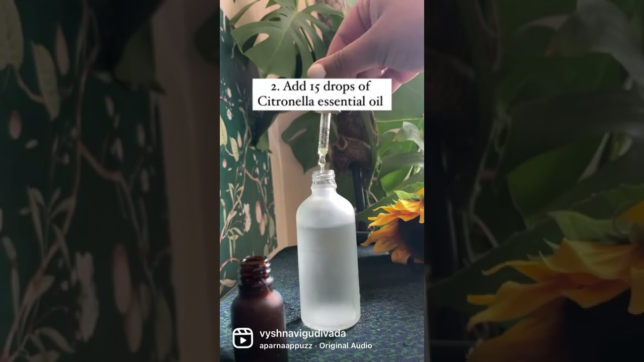 DIY Mosquito repellent at home 🏡