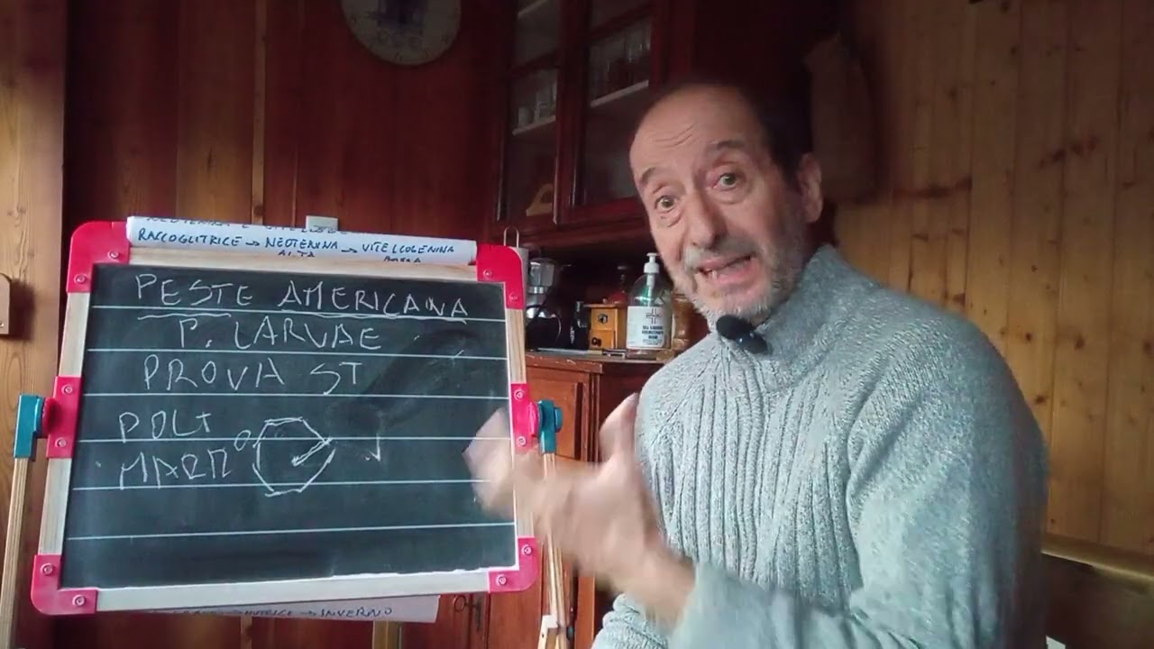 Patologie della covata: peste americana