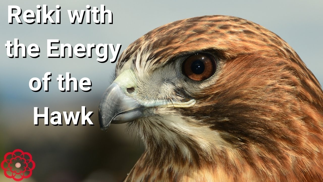 Reiki Energy of the Hawk 💮