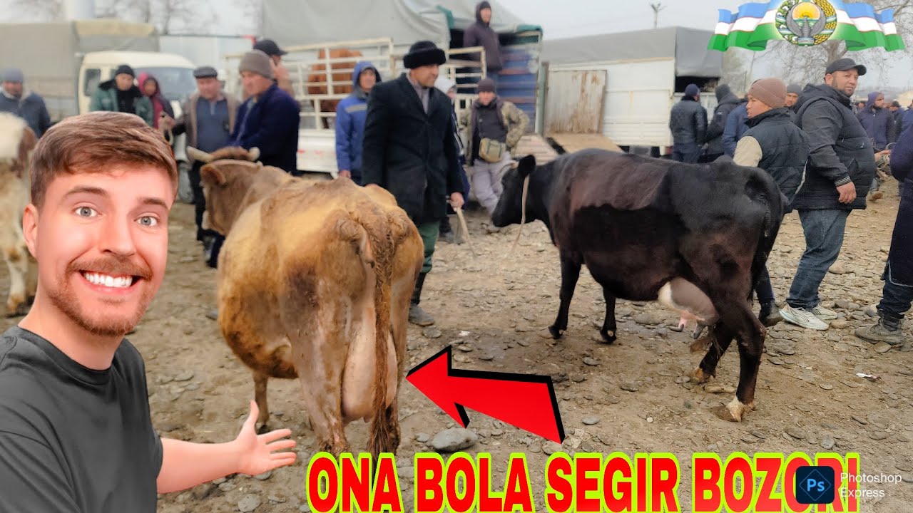 14.03.2026.YIL SAMARQAND JUMA MOL BOZORI TEZ KURIG ARZON BULDI