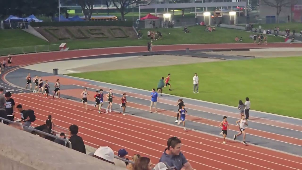 800M Buchanan Diatance Classic 