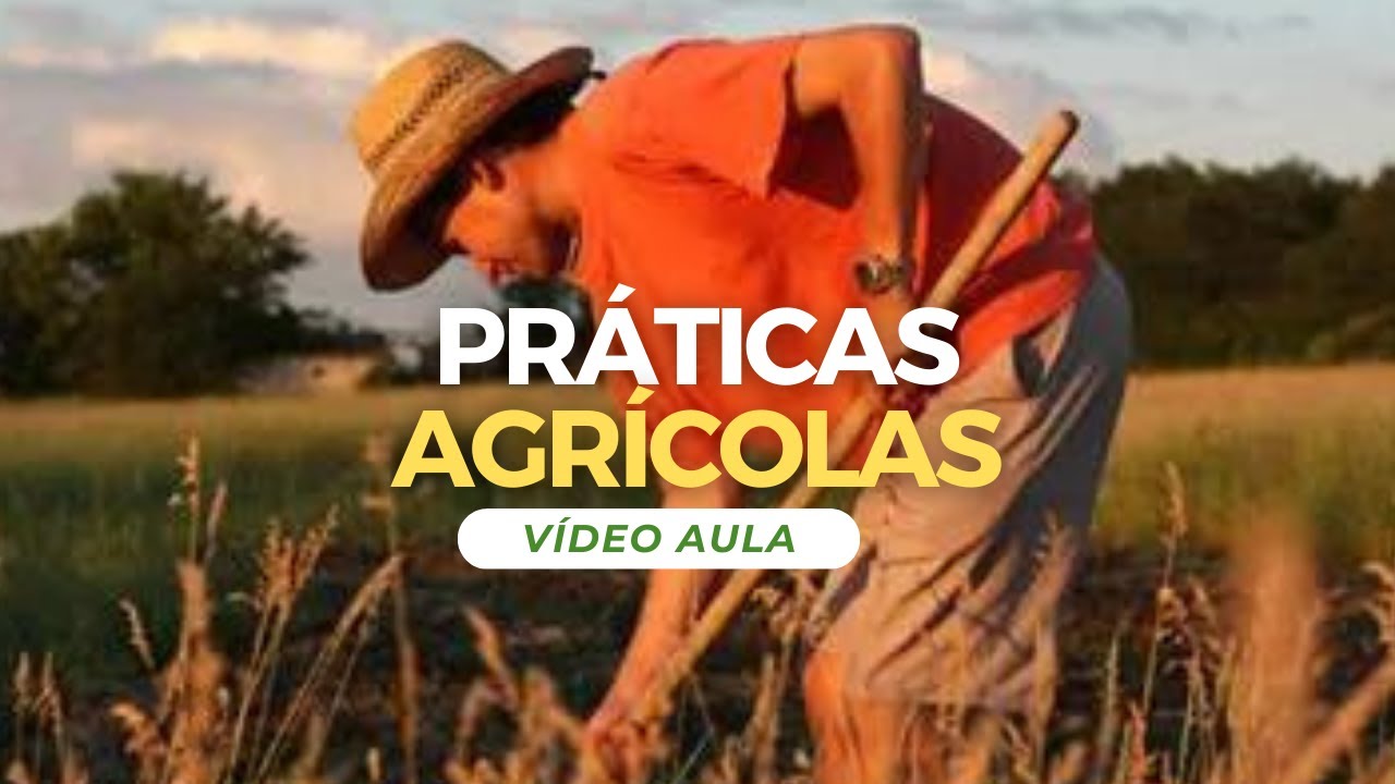 10 Práticas Sustentáveis na Agricultura