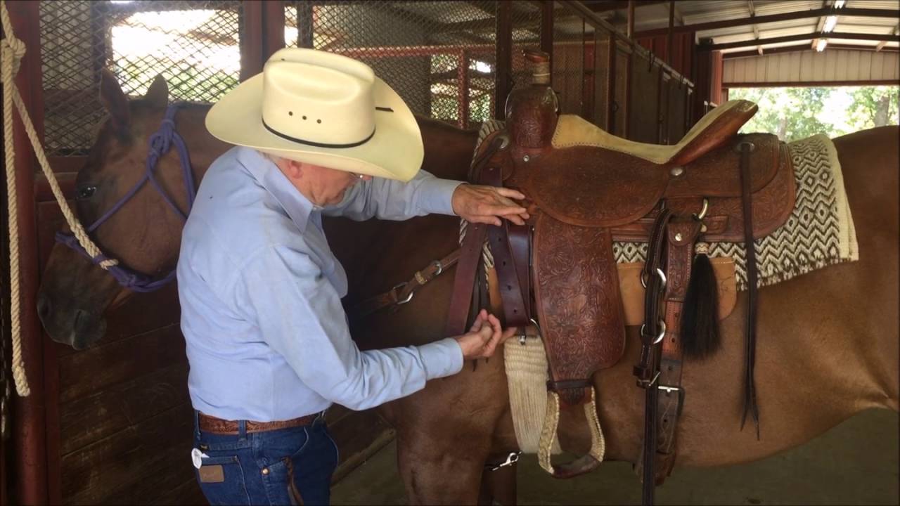 Dennis Moreland Tack: How to Measure for Cinch Length
