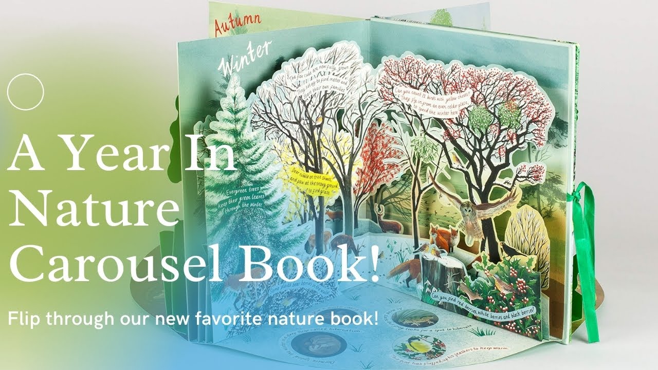 A Year In Nature Carousel Book || Nature Book Flip Through || Nature Books