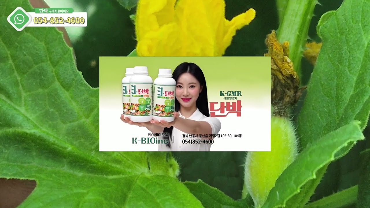 E단박영상 참외 농가 방문 V-LOG 
