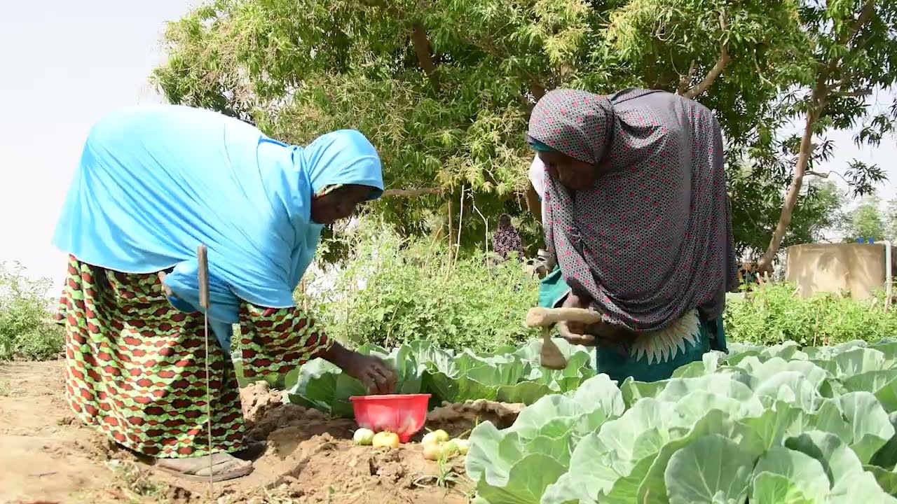 The Kollo Project - Nexus Regional Dialogue in the Niger Basin (FR)