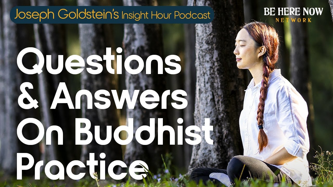 Questions and Answers on Buddhist Practice with Joseph Goldstein &ndash; Insight Hour Podcast Ep. 190