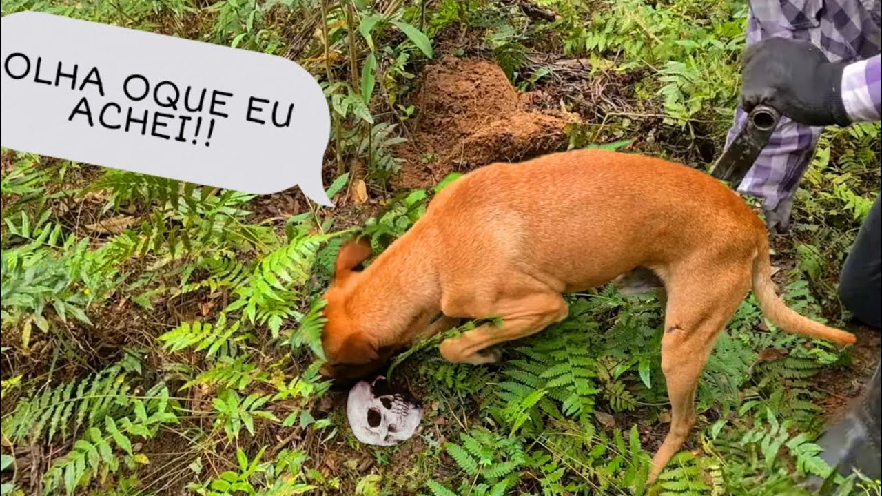 DETECTORISMO EM ANTIGO VILAREJO    (JACK CHARLES E FAISCA)