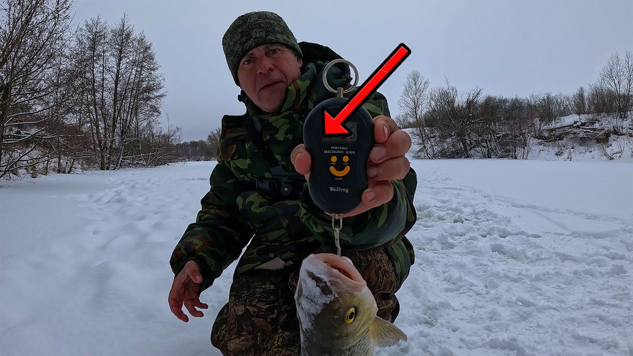ПЕРВАЯ РЫБАЛКА В ФЕВРАЛЕ! МОНСТРЫ КЛЮЮТ И НЕ ТОЛЬКО ОНИ!