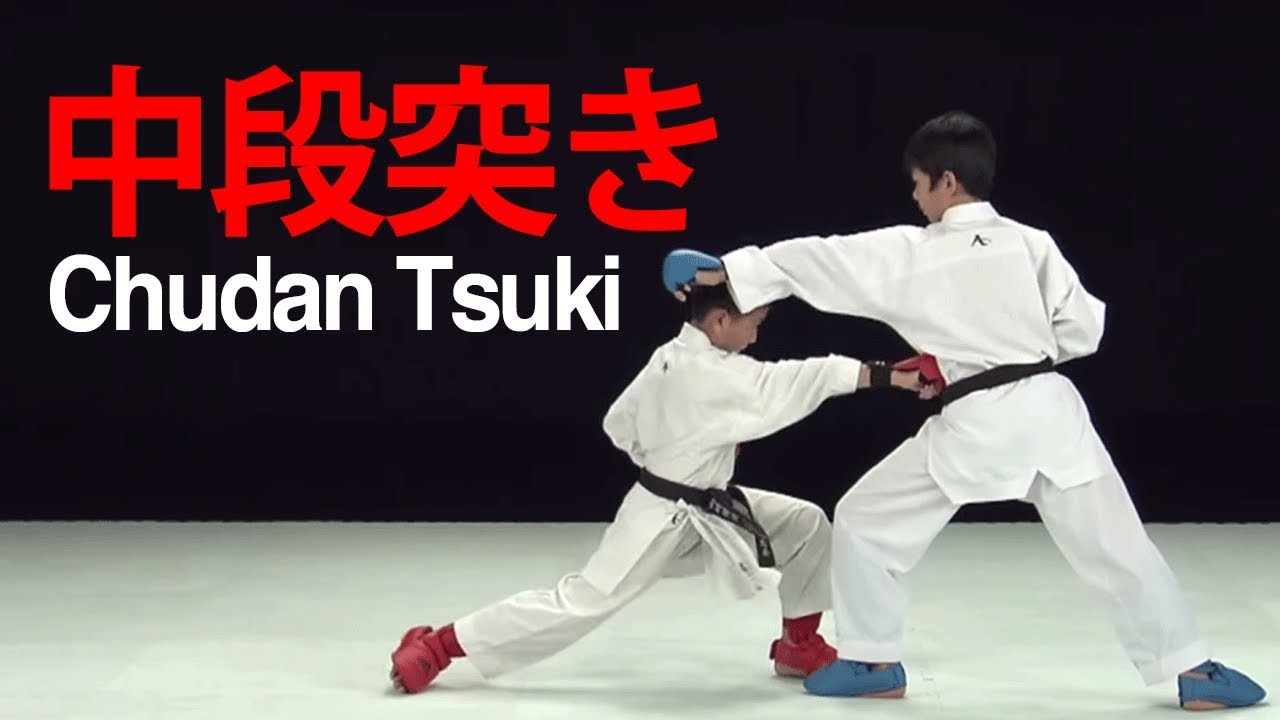 Expert of Match Vol.12 -Shin･Chudan Tsuki Study - 競技の達人12 