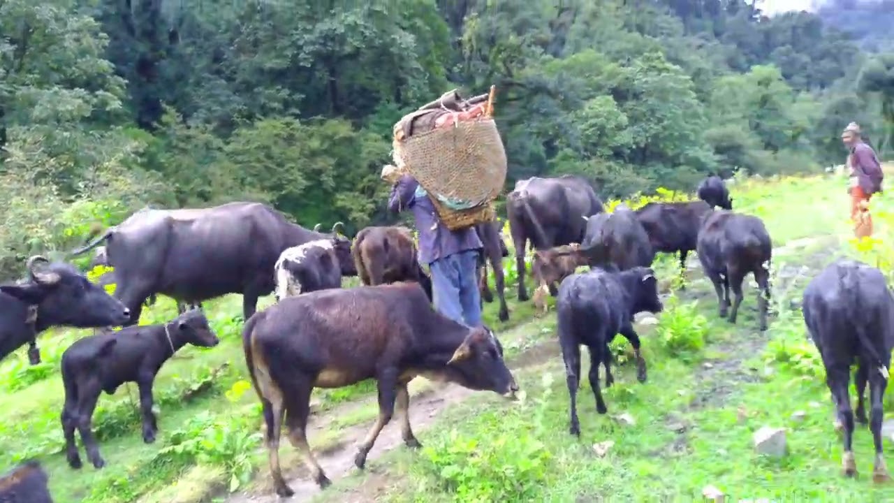 peaceful Nepali mountain And village in Life