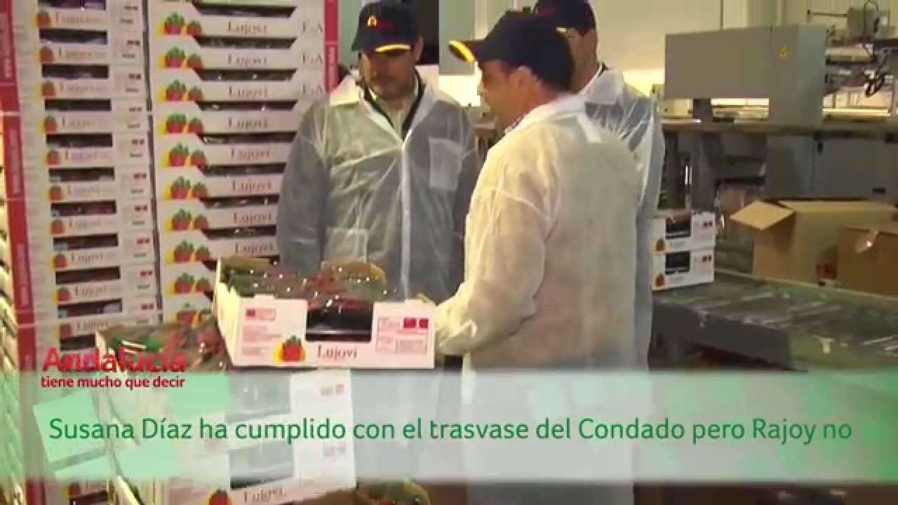 Visita a la empresa 'Lujovi' en Rociana del Condado