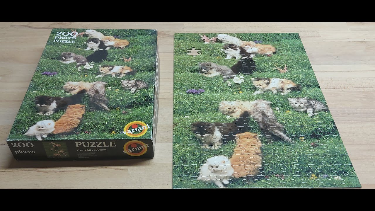 Variant nr.20010 200 piece puzzle  Bunch of Young cats Timelapse