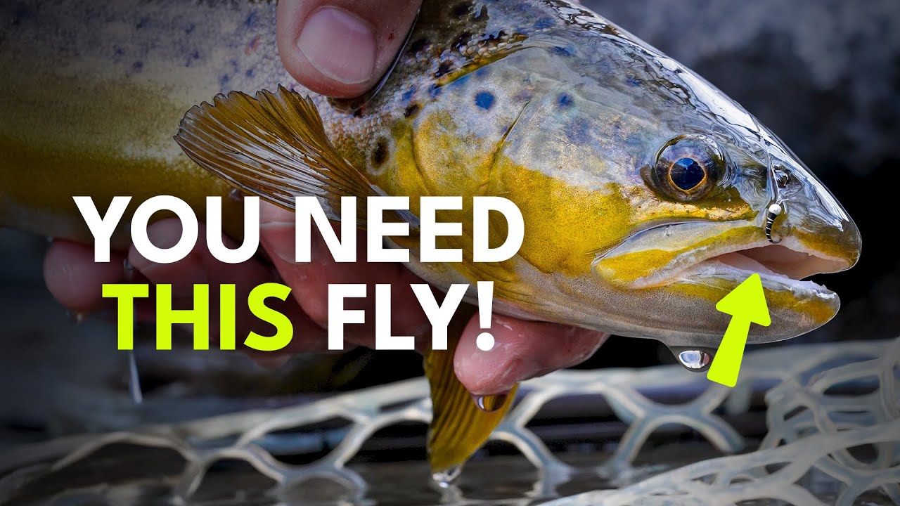 The 7 Midge Patterns You Need This Winter | Ep. 162