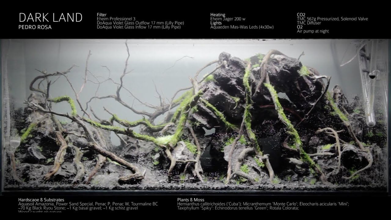 Dark Land Aquarium - Chapter I - Day 1 - Step-by-Step