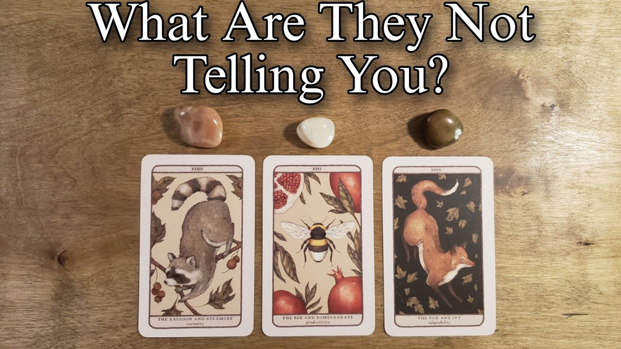 😫💕 What Are They Not Telling/Saying To You? Pick A Card Love Reading